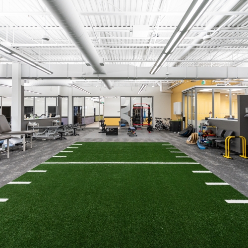 Turfed sports-rehab strip with agility markings and equipment